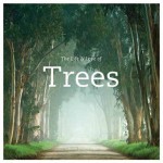 The Life & Love of Trees