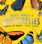 Secret World of Butterflies cover image